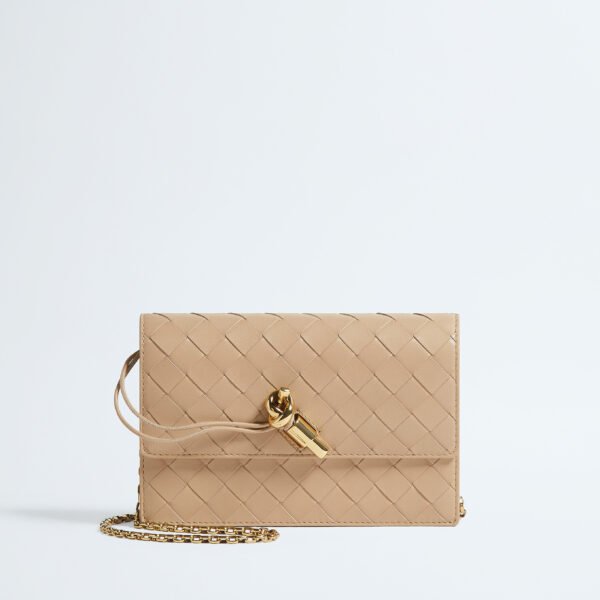 Bottega Veneta Andiamo Pouch on Chain